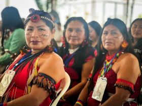Nueva agenda regional amazónica de salud